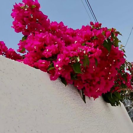 Ona Apartament Saranda Kültér fotó